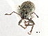  ( - CCDB-30444-E08)  @11 [ ] CreativeCommons - Attribution (2018) CBG Photography Group Smithsonian Institution