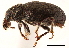  ( - CCDB-30444-F07)  @11 [ ] CreativeCommons - Attribution (2018) CBG Photography Group Smithsonian Institution