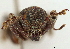  ( - CCDB-30444-F11)  @11 [ ] CreativeCommons - Attribution (2018) CBG Photography Group Smithsonian Institution