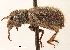  ( - CCDB-30444-G02)  @11 [ ] CreativeCommons - Attribution (2018) CBG Photography Group Smithsonian Institution