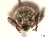  ( - CCDB-30446-A04)  @11 [ ] CreativeCommons - Attribution (2018) CBG Photography Group Smithsonian Institution