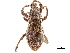  ( - CCDB-30446-A10)  @11 [ ] CreativeCommons - Attribution (2018) CBG Photography Group Smithsonian Institution