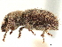  ( - CCDB-30446-B02)  @11 [ ] CreativeCommons - Attribution (2018) CBG Photography Group Smithsonian Institution