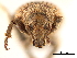  ( - CCDB-30446-B07)  @11 [ ] CreativeCommons - Attribution (2018) CBG Photography Group Smithsonian Institution