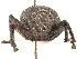  (Triglyphulus - CCDB-30446-C09)  @11 [ ] CreativeCommons - Attribution (2018) CBG Photography Group Smithsonian Institution