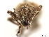  ( - CCDB-30446-E09)  @11 [ ] CreativeCommons - Attribution (2018) CBG Photography Group Smithsonian Institution