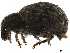  ( - CCDB-30446-G08)  @11 [ ] CreativeCommons - Attribution (2018) CBG Photography Group Smithsonian Institution
