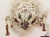  ( - CCDB-30446-G11)  @11 [ ] CreativeCommons - Attribution (2018) CBG Photography Group Smithsonian Institution