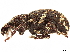  ( - CCDB-30446-H01)  @11 [ ] CreativeCommons - Attribution (2018) CBG Photography Group Smithsonian Institution