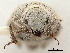  ( - CCDB-30446-H05)  @11 [ ] CreativeCommons - Attribution (2018) CBG Photography Group Smithsonian Institution