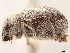  ( - CCDB-30446-H05)  @11 [ ] CreativeCommons - Attribution (2018) CBG Photography Group Smithsonian Institution