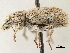  ( - CCDB-30446-H06)  @11 [ ] CreativeCommons - Attribution (2018) CBG Photography Group Smithsonian Institution