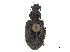  ( - CCDB-30447-D08)  @11 [ ] CreativeCommons - Attribution (2018) CBG Photography Group Smithsonian Institution
