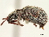 ( - CCDB-30449-A12)  @11 [ ] CreativeCommons - Attribution (2018) CBG Photography Group Smithsonian Institution