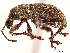 ( - CCDB-30449-B03)  @11 [ ] CreativeCommons - Attribution (2018) CBG Photography Group Smithsonian Institution