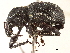  ( - CCDB-30449-B10)  @11 [ ] CreativeCommons - Attribution (2018) CBG Photography Group Smithsonian Institution