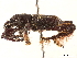  ( - CCDB-30449-C01)  @11 [ ] CreativeCommons - Attribution (2018) CBG Photography Group Smithsonian Institution