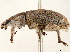  ( - CCDB-30449-C11)  @11 [ ] CreativeCommons - Attribution (2019) CBG Photography Group Smithsonian Institution