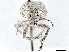  ( - CCDB-30449-E03)  @11 [ ] CreativeCommons - Attribution (2018) CBG Photography Group Smithsonian Institution