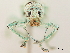  ( - CCDB-30449-E04)  @11 [ ] CreativeCommons - Attribution (2018) CBG Photography Group Smithsonian Institution