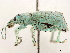  ( - CCDB-30449-E04)  @11 [ ] CreativeCommons - Attribution (2019) CBG Photography Group Smithsonian Institution