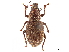  ( - CCDB-30449-F11)  @11 [ ] CreativeCommons - Attribution (2019) CBG Photography Group Smithsonian Institution