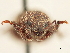  ( - CCDB-30449-F11)  @11 [ ] CreativeCommons - Attribution (2018) CBG Photography Group Smithsonian Institution