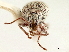  ( - CCDB-30449-G11)  @11 [ ] CreativeCommons - Attribution (2018) CBG Photography Group Smithsonian Institution