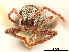  ( - CCDB-30449-G12)  @11 [ ] CreativeCommons - Attribution (2018) CBG Photography Group Smithsonian Institution