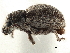  ( - CCDB-30449-H02)  @11 [ ] CreativeCommons - Attribution (2019) CBG Photography Group Smithsonian Institution