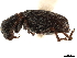  ( - CCDB-30449-H10)  @11 [ ] CreativeCommons - Attribution (2019) CBG Photography Group Smithsonian Institution