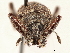  ( - CCDB-30451-B09)  @11 [ ] CreativeCommons - Attribution (2019) CBG Photography Group Smithsonian Institution