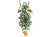  (Hadromeropsis - CCDB-30451-C05)  @11 [ ] CreativeCommons - Attribution (2018) CBG Photography Group Smithsonian Institution