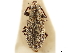  ( - CCDB-30451-D02)  @11 [ ] CreativeCommons - Attribution (2019) CBG Photography Group Smithsonian Institution