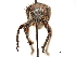  ( - CCDB-30451-D06)  @11 [ ] CreativeCommons - Attribution (2018) CBG Photography Group Smithsonian Institution