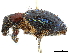  ( - CCDB-30451-D07)  @11 [ ] CreativeCommons - Attribution (2018) CBG Photography Group Smithsonian Institution
