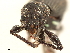  ( - CCDB-30451-G05)  @11 [ ] CreativeCommons - Attribution (2018) CBG Photography Group Smithsonian Institution