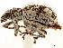  ( - CCDB-30451-G10)  @11 [ ] CreativeCommons - Attribution (2018) CBG Photography Group Smithsonian Institution