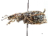  ( - CCDB-30451-H01)  @11 [ ] CreativeCommons - Attribution (2018) CBG Photography Group Smithsonian Institution