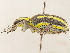  ( - CCDB-30451-H03)  @11 [ ] CreativeCommons - Attribution (2018) CBG Photography Group Smithsonian Institution