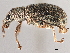  ( - CCDB-30451-H11)  @11 [ ] CreativeCommons - Attribution (2018) CBG Photography Group Smithsonian Institution