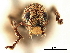  ( - CCDB-30453-A02)  @11 [ ] CreativeCommons - Attribution (2018) CBG Photography Group Smithsonian Institution