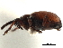  ( - CCDB-30453-C03)  @11 [ ] CreativeCommons - Attribution (2018) CBG Photography Group Smithsonian Institution