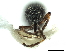  ( - CCDB-30453-D08)  @11 [ ] CreativeCommons - Attribution (2018) CBG Photography Group Smithsonian Institution