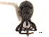 (Piezotrachelus - CCDB-30453-F03)  @11 [ ] CreativeCommons - Attribution (2018) CBG Photography Group Smithsonian Institution