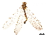  ( - CCDB-32124-B10)  @11 [ ] CreativeCommons - Attribution (2018) CBG Photography Group Smithsonian Institution