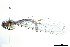  ( - CCDB-32127-H10)  @11 [ ] CreativeCommons - Attribution (2018) CBG Photography Group Smithsonian Institution
