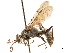  ( - CCDB-32128-F03)  @11 [ ] CreativeCommons - Attribution (2018) CBG Photography Group Smithsonian Institution