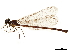  ( - CCDB-32129-D11)  @11 [ ] CreativeCommons - Attribution (2018) CBG Photography Group Smithsonian Institution