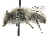  ( - CCDB-32130-F05)  @11 [ ] CreativeCommons - Attribution (2018) CBG Photography Group Smithsonian Institution